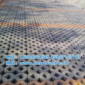 8����ֲ�ݴu