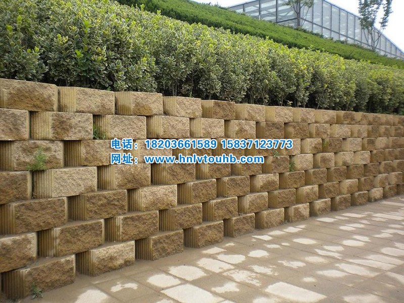 �͑�(h��)����