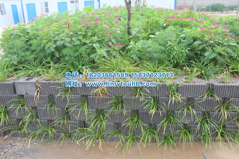 �͑�(h��)����