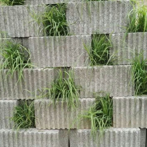 ������ϵ��