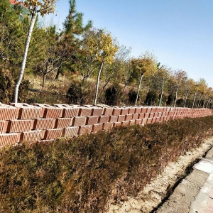 ������ϵ��