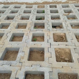 �o(h��)�´uϵ��