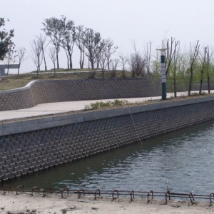 �͑�����