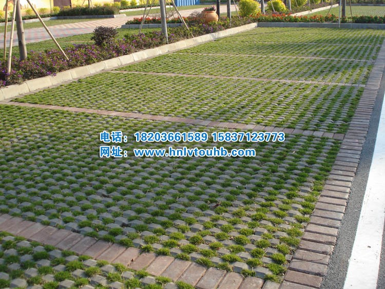 �͑�(h��)����