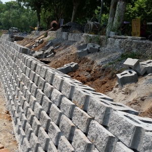 �͑�����