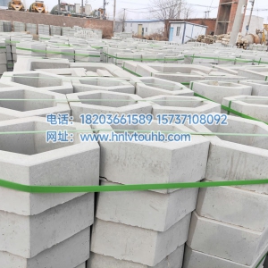 ߅�L(zh��ng)20��������